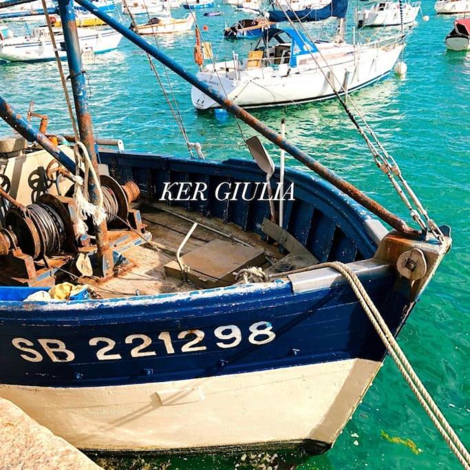 Maison Neuve 4 Etoiles Plain-Pied Proche De La Mer Plurien Dış mekan fotoğraf